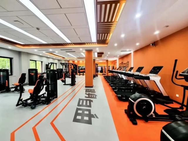 让民生工程焕新为幸福河北“加码”(图1)